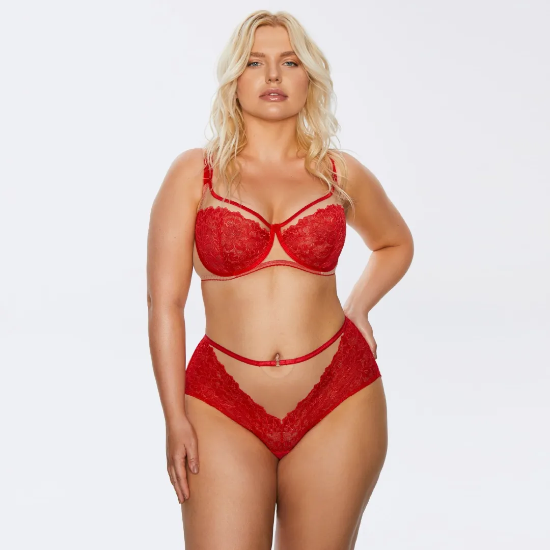 Soft Lace High Waist Brief Panty Kinga Mind Love