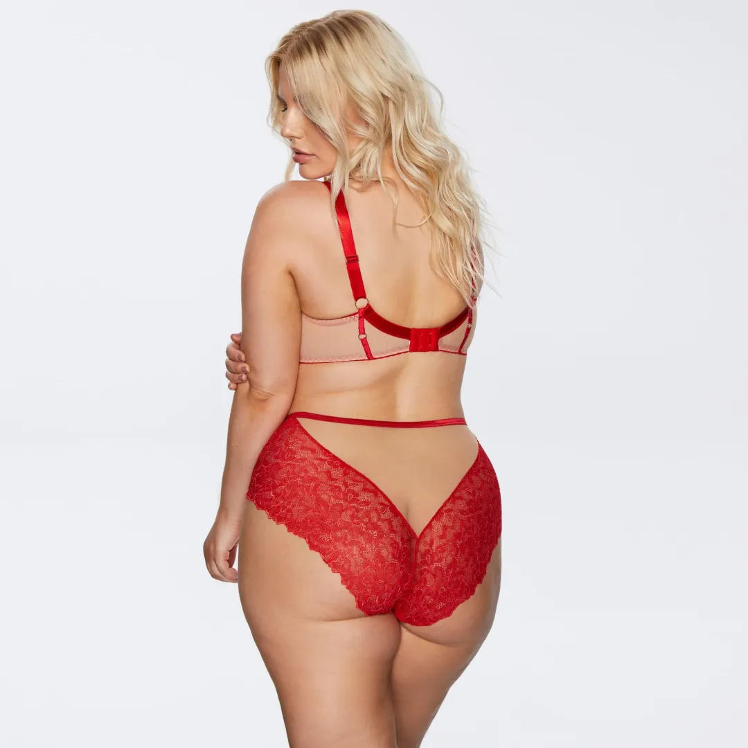 Soft Lace High Waist Brief Panty Kinga Mind Love