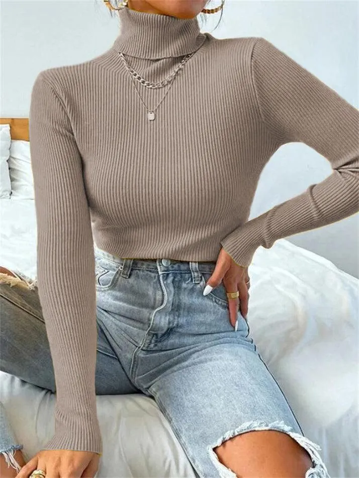 Turtleneck Puffy Graceful Sleeve Sweater