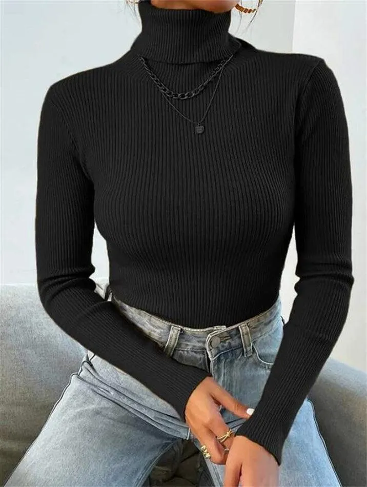 Turtleneck Puffy Graceful Sleeve Sweater