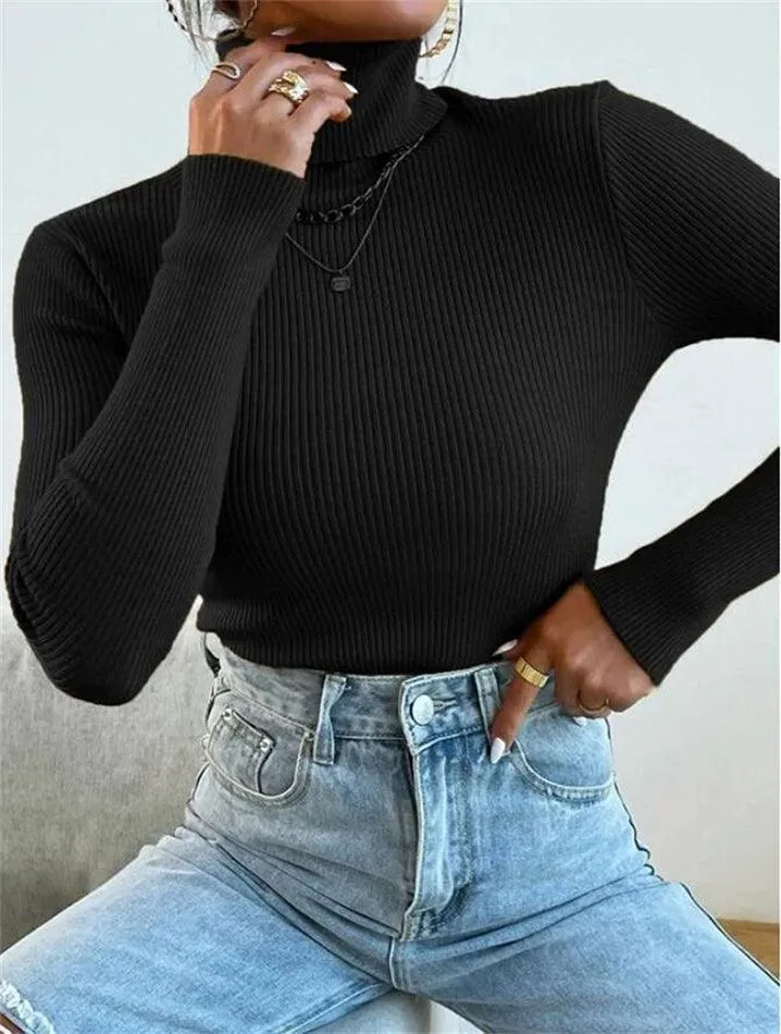 Turtleneck Puffy Graceful Sleeve Sweater