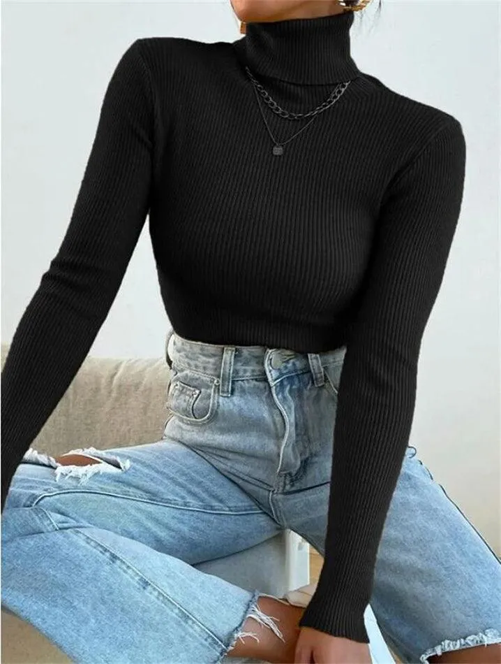 Turtleneck Puffy Graceful Sleeve Sweater